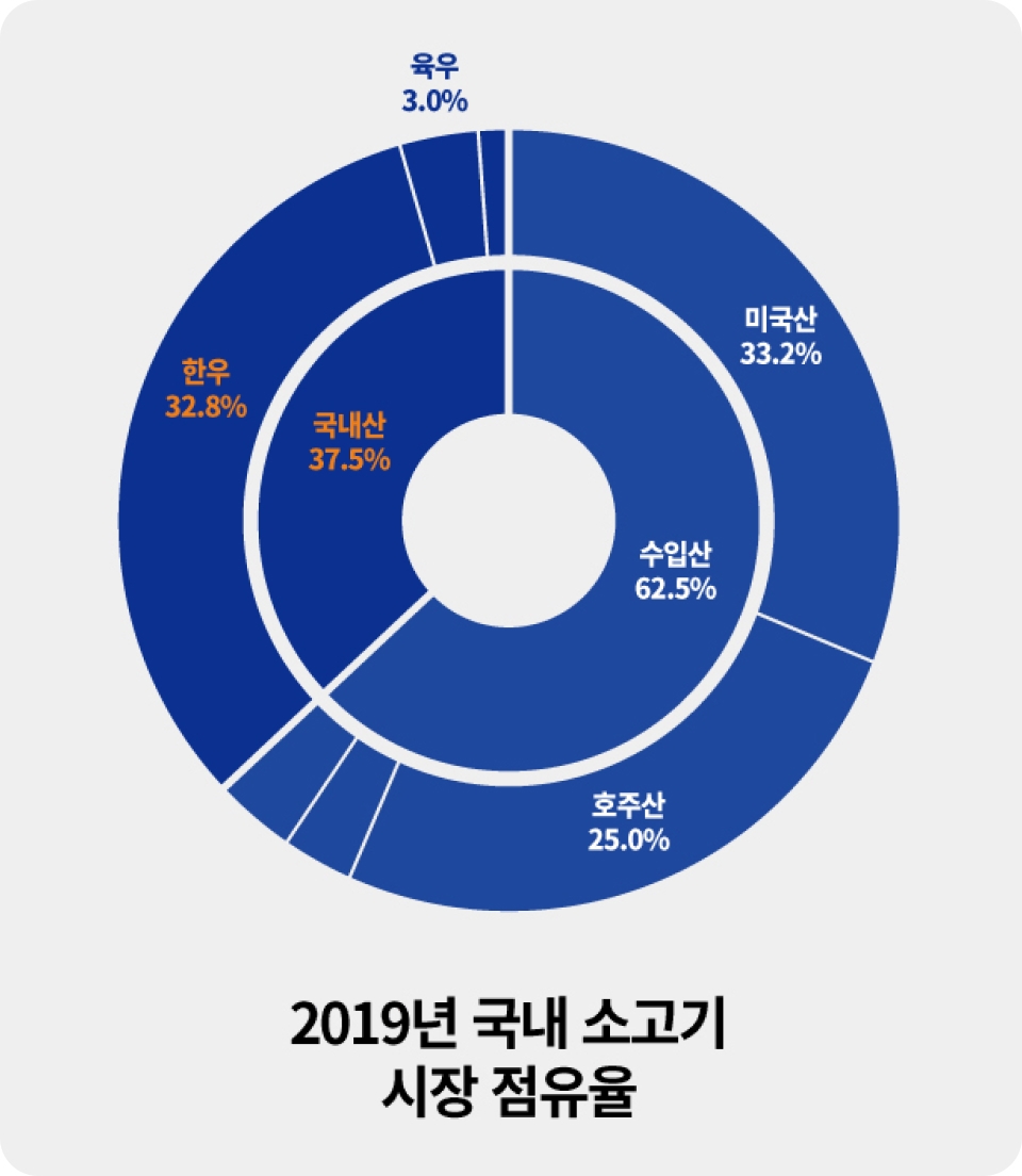 2019년 국내 소고기 시장 점유율 그래프: 수입산62.5% 국내산 37.5% 중 상세 미국산 33.2%, 호주산 25%, 중 한우 32.8%, 육우 3%, 