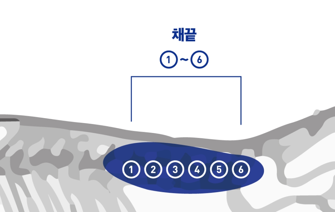 채끝1~6