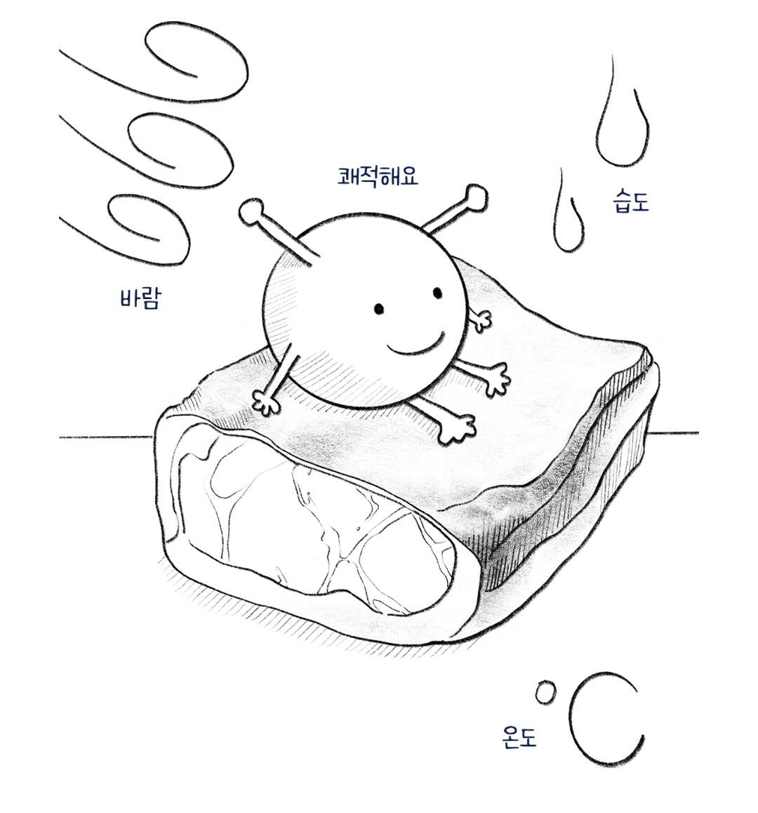 미트탐구생활 드라이에이징