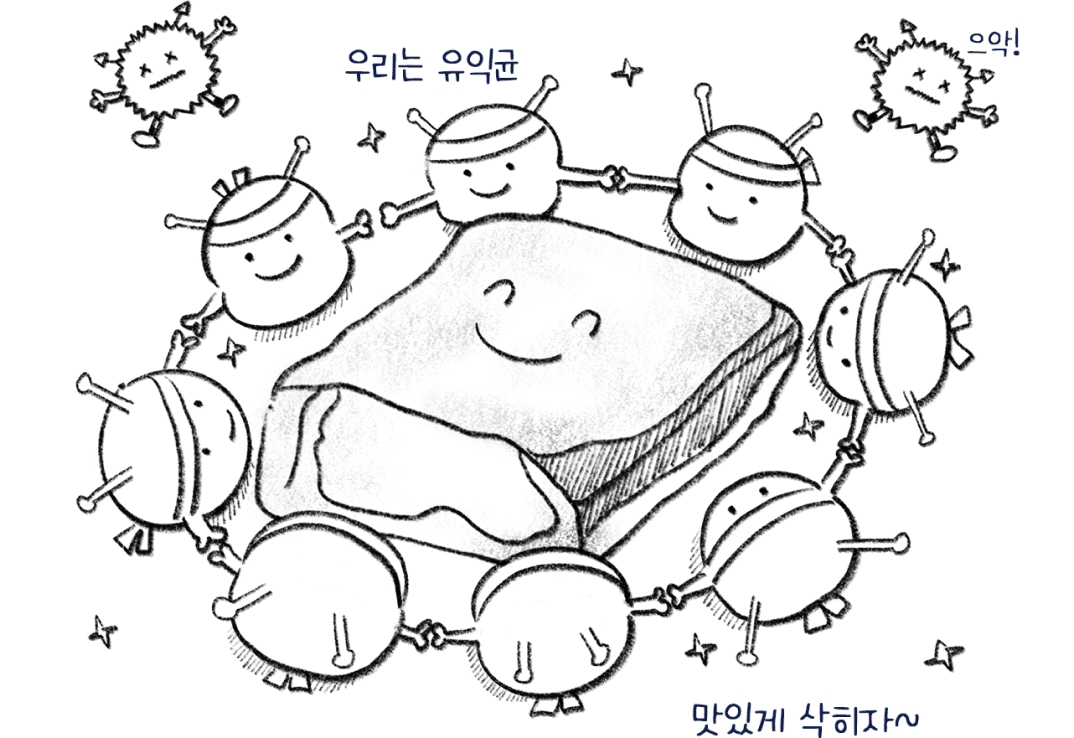 유익균이 맛있게 삭히는 고기