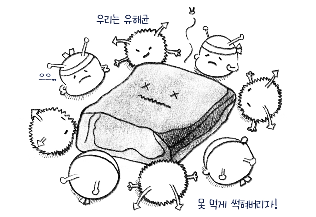 유해균이 못 먹게 썩히는 고기