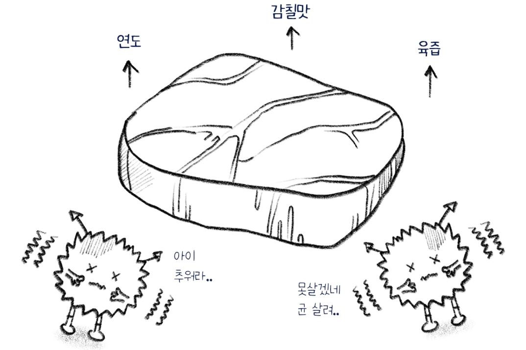 균이 자라기 힘들지만 숙성 작용은 일어나는 낮은 온도 설정