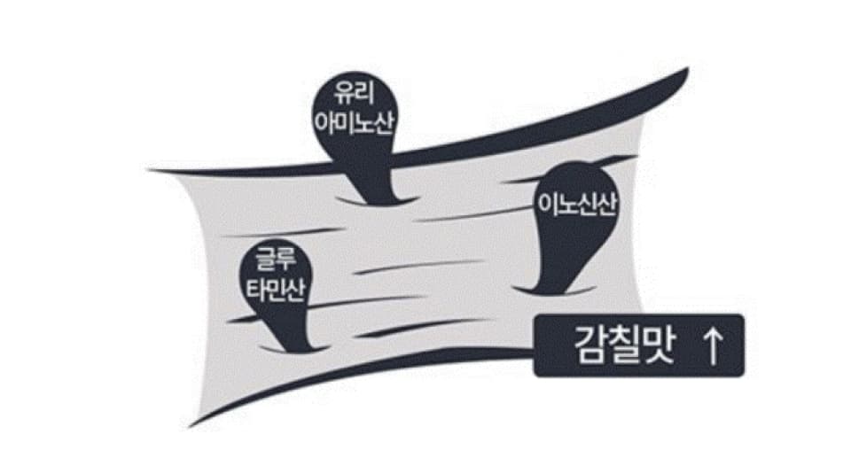유리 아미노산, 글루타민산, 이노신산이 생성되어 감칠맛이 상승