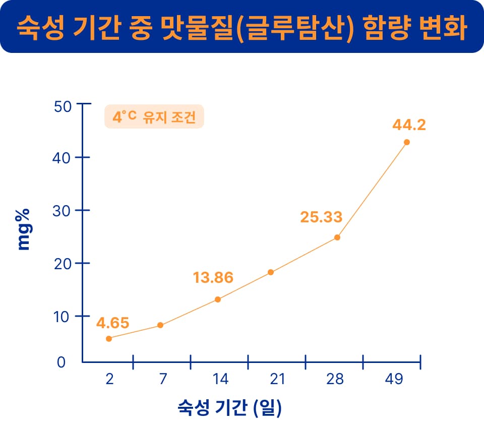 숙성기간에 따른 맛 물질 함량이 증가하는 그래프