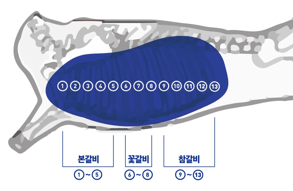 1~5 본갈비, 6~8 꽃갈비, 9~13 참갈비