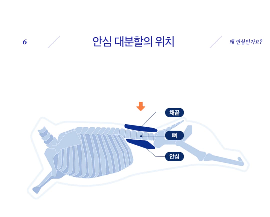 안심 대분할의 위치