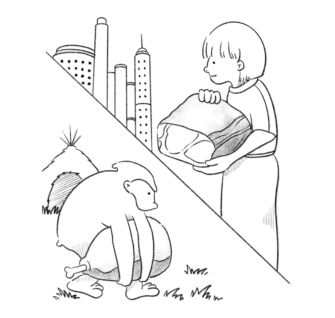 미트탐구생활 숙성人류