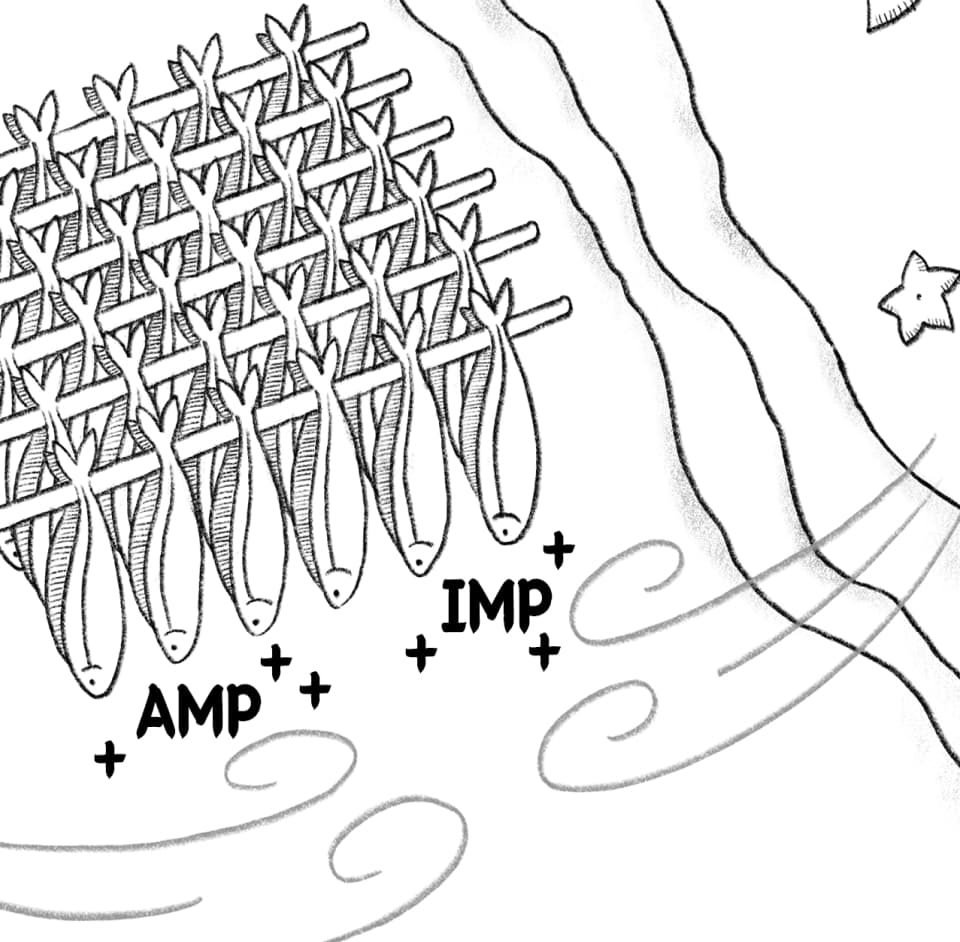AMP, IMP