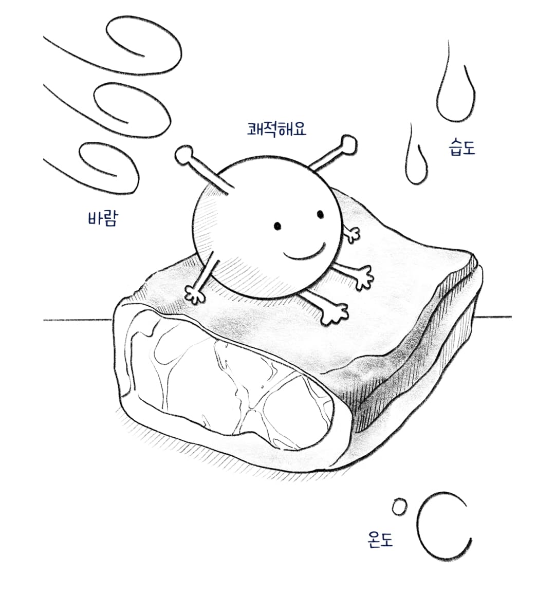 미트탐구생활 드라이에이징