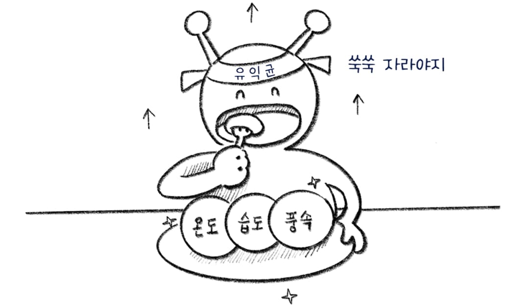 온도, 습도, 풍속에 영향받는 유익균