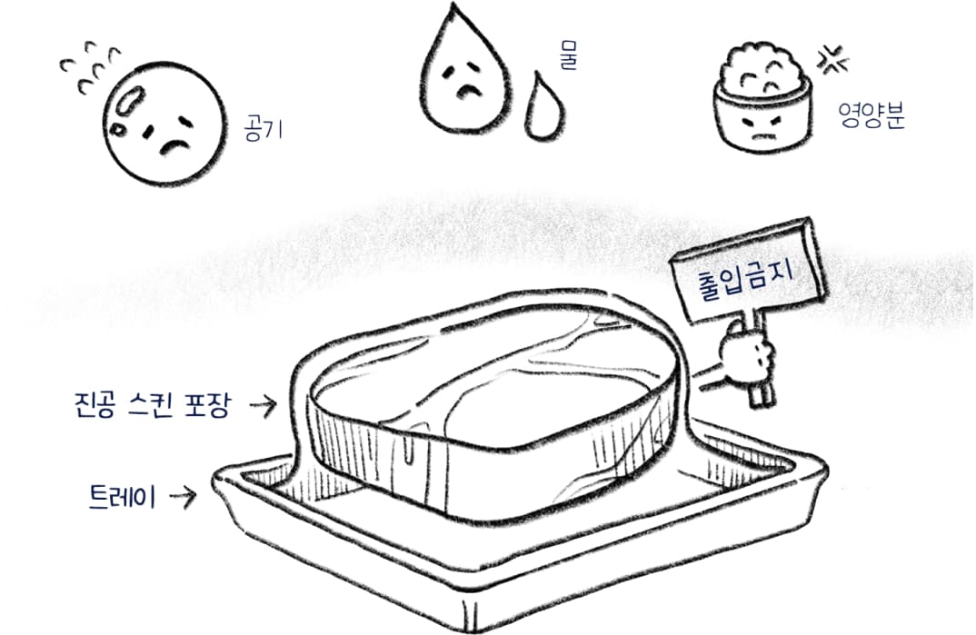 진공 스킨 포장은 미생물이 성장하기 위해서 필요한 공기, 물, 영양분을 효과적으로 통제