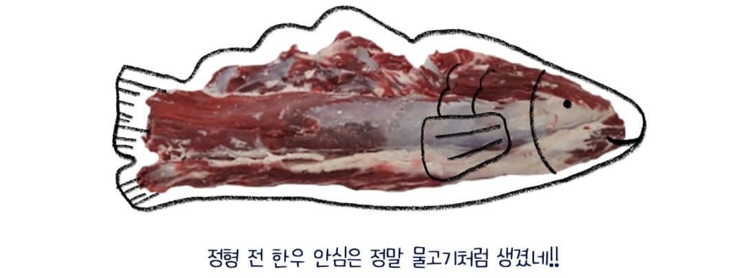 정현 전 한우 안심은 정말 물고기처럼 생겼네!!